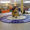 Sumo wrestling